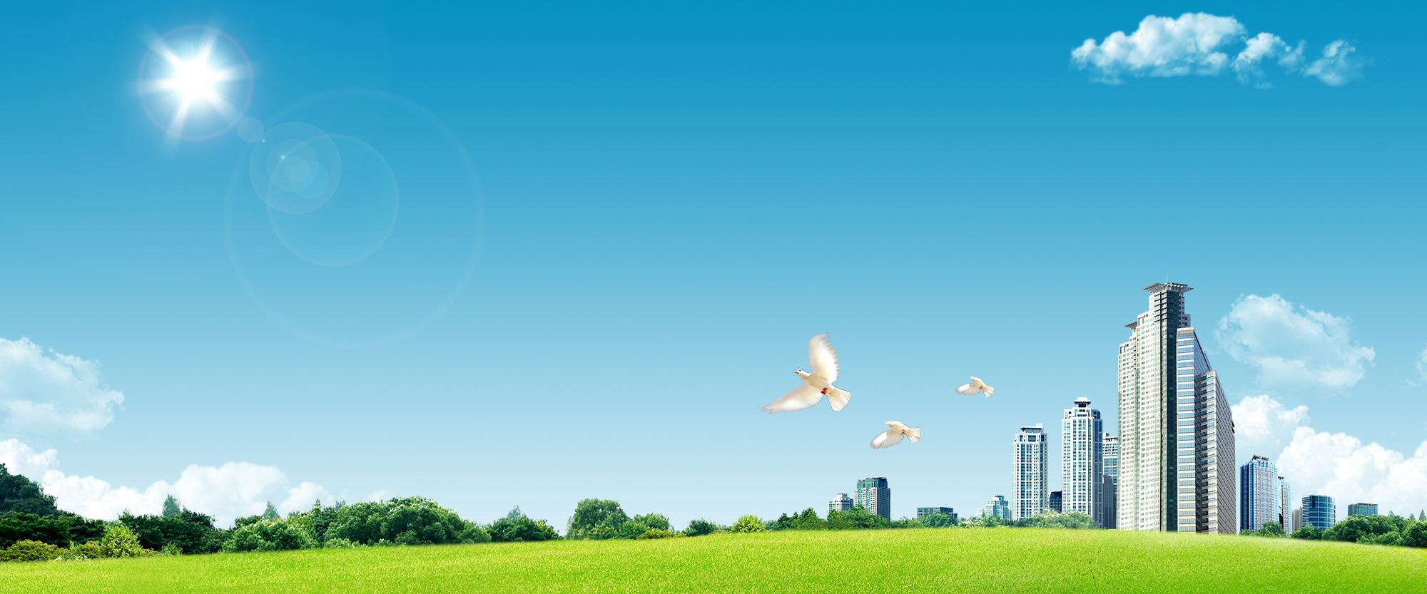 專業(yè)的技術(shù)力量，專注的產(chǎn)業(yè)團(tuán)隊(duì)